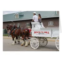 Draft Horses at a State Fair