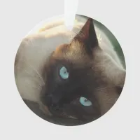 Add your Cat's Photo and name to this Cute Ornament