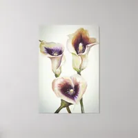 Painted  Calla Lillies  Beautiful Blomning Bouquet Canvas Print