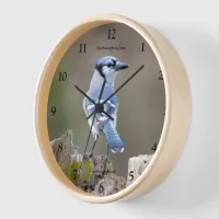 Cute Blue Jay Songbird Posing on Treestump Clock