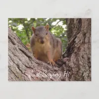 Just Saying Hi, Cute Squirrel in Tree Postcard