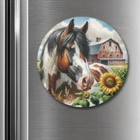 Pretty Pinto Brown and White Horse on Rustic Farm Magnet