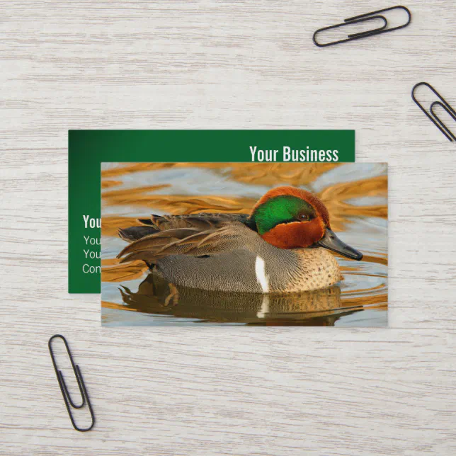 Handsome Green-Winged Teal Duck on Golden Pond Business Card