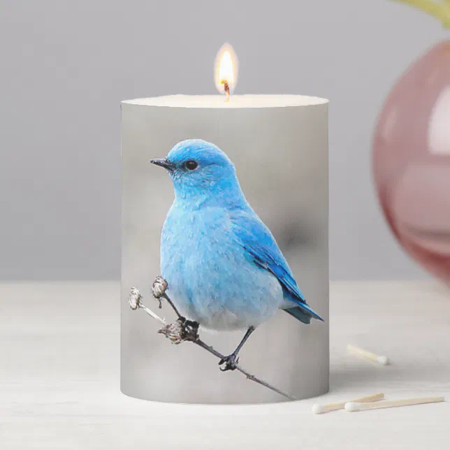 Beautiful Mountain Bluebird Pillar Candle
