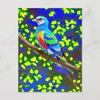 Brightly Colored Bird Postcard