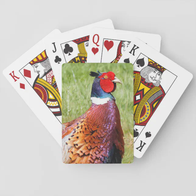 Profile of a Ring-Necked Pheasant Poker Cards