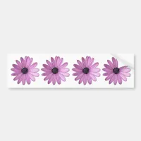 Just Purple Daisies| Floral Photo Bumper Sticker