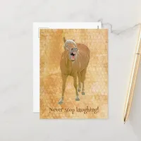 Funny laughing horse, custom  postcard