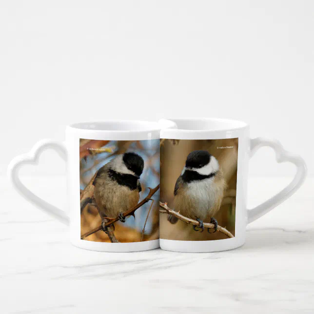 Black-Capped Chickadees Coffee Mug Set