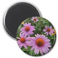 Pink Cone Flowers Nature Photograph Magnet