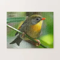 Colorful Leiothrix / Pekin Robin Songbird Jigsaw Puzzle