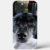 Add Your Dog's Photo to this Custom iPhone 13 Pro Max Case