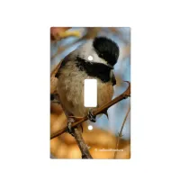 Cute Hopeful Black-Capped Chickadee Songbird Light Switch Cover