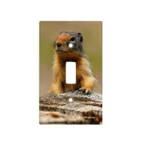 Funny Cute Saucy Columbian Ground Squirrel Light Switch Cover