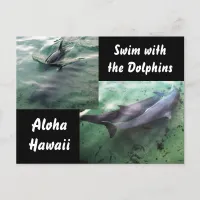 Swim with Dolphins Hawaii  Postcard