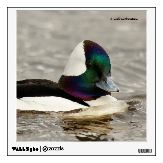 Cute Bufflehead Duck at the Pond Wall Decal