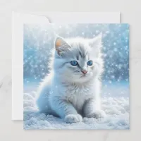 Little White Kitten in Snow Christmas