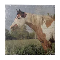 Pinto Horse Grunge Ceramic Tile