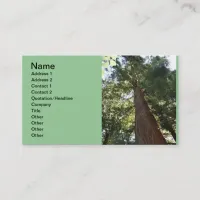 Giant Redwood Sequoia Treetop Business Card