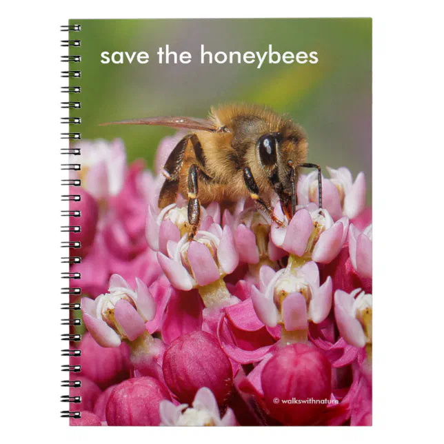 Save the Honeybees Pollinating Narrowleaf Milkweed Notebook