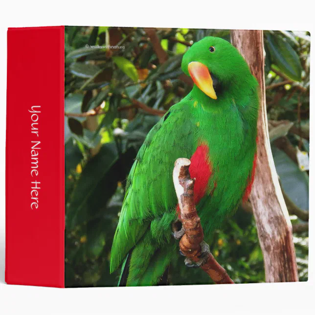 "The Green Orator" Eclectus Parrot Binder