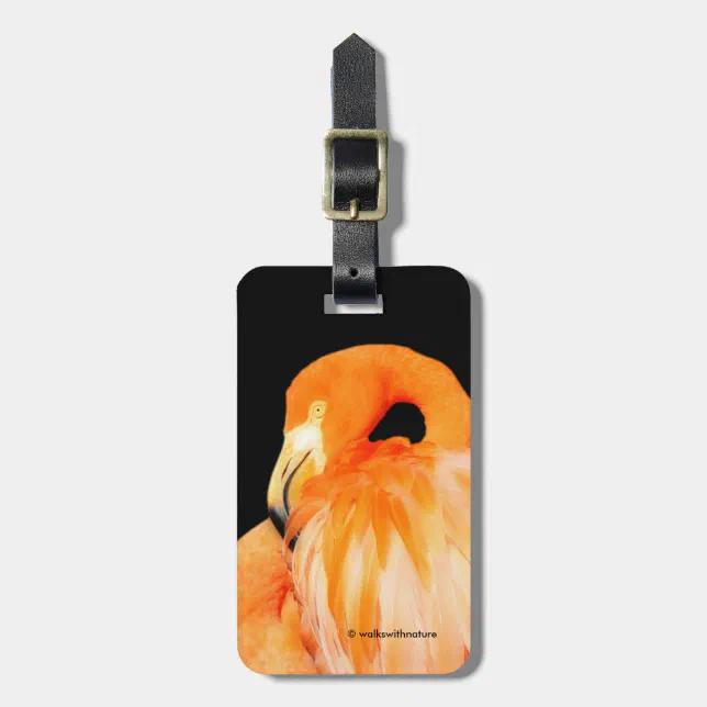 Flamingo in the Summer Sun Luggage Tag