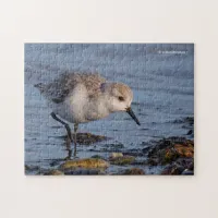 Cute Sanderling Sandpiper Strolling on the Shore Jigsaw Puzzle