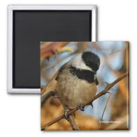 Cute Hopeful Black-Capped Chickadee Songbird Magnet
