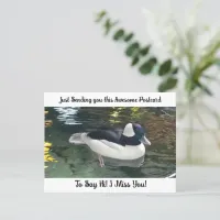 Cute Duck "I Miss YOU" Saying Hi Post Card