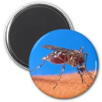 Biting Mosquito Bloodsucking Insect Photo Magnet