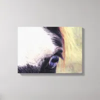 Blue Eyed Paint Horse Canvas Print