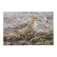 Profile of a Buff-Breasted Sandpiper at the Beach Placemat