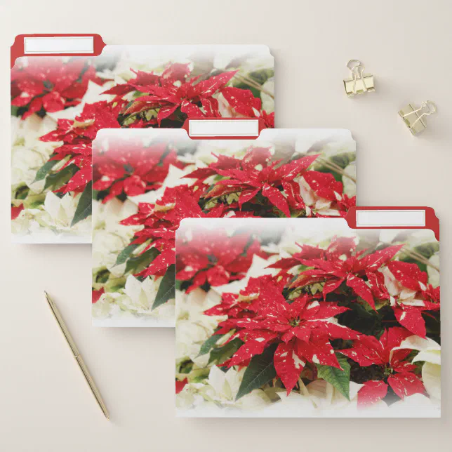 Festive Red White Floral Poinsettias File Folder