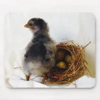 Chick With Nest Mouse Pad