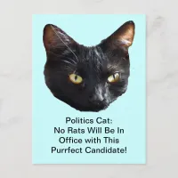 Politics Cat No Rats Will Be In Office Postcard