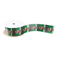 Christmas Cat Humbug Photo with Santa Hat Satin Ribbon