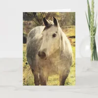 Gray Horse, Birthday Card