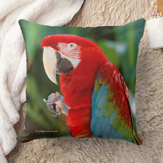 Pretty Colorful Green-Winged Macaw Parrot Bird Throw Pillow