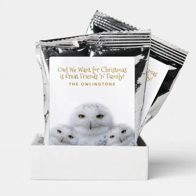 Funny Owl We Want for Christmas Snowy Owls Family Coffee Drink Mix