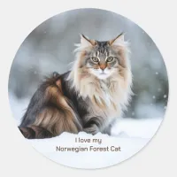 I Love My Norwegian Forest Cat In The Snow  Classic Round Sticker