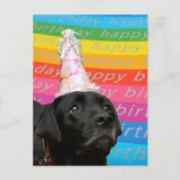 Black Dog Colorful Happy Birthday Text Postcard