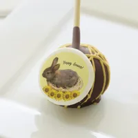 Cute baby rabbit baby easter  cake pops