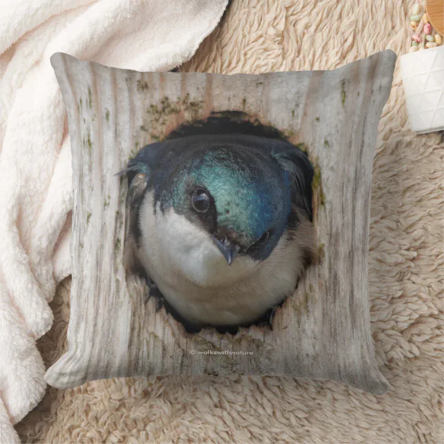 Tree Swallow Songbird in Nestbox Throw Pillow