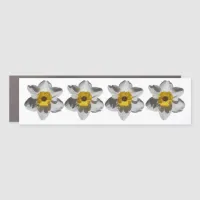 Just Daffodils | Floral Photo