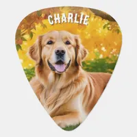 Create Simple Modern Pet Picture 2 Photos Dog Guitar Pick