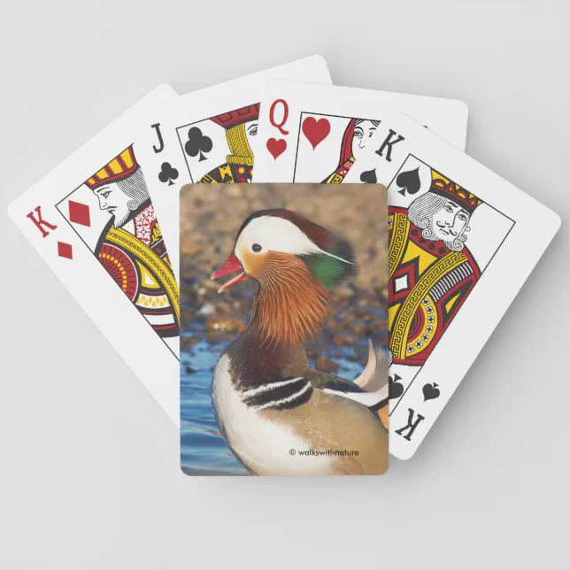 Beautiful Chatty Mandarin Duck at the Pond Poker Cards