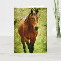 Funny Horse, Birthday Card