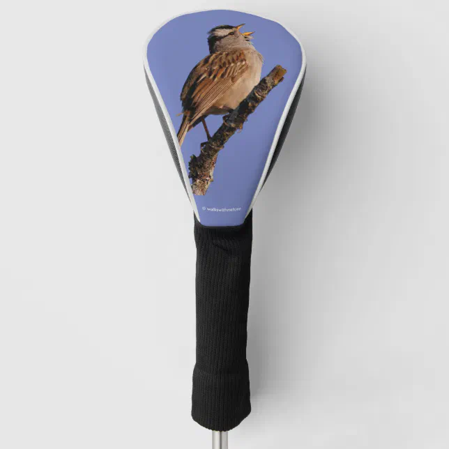 White-Crowned Sparrow Sings to the Sun Golf Head Cover