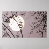 Sun Behind Trees at Sunrise Poster