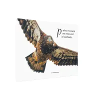 Inspirational Quote Bald Eagle in Flight Canvas Print